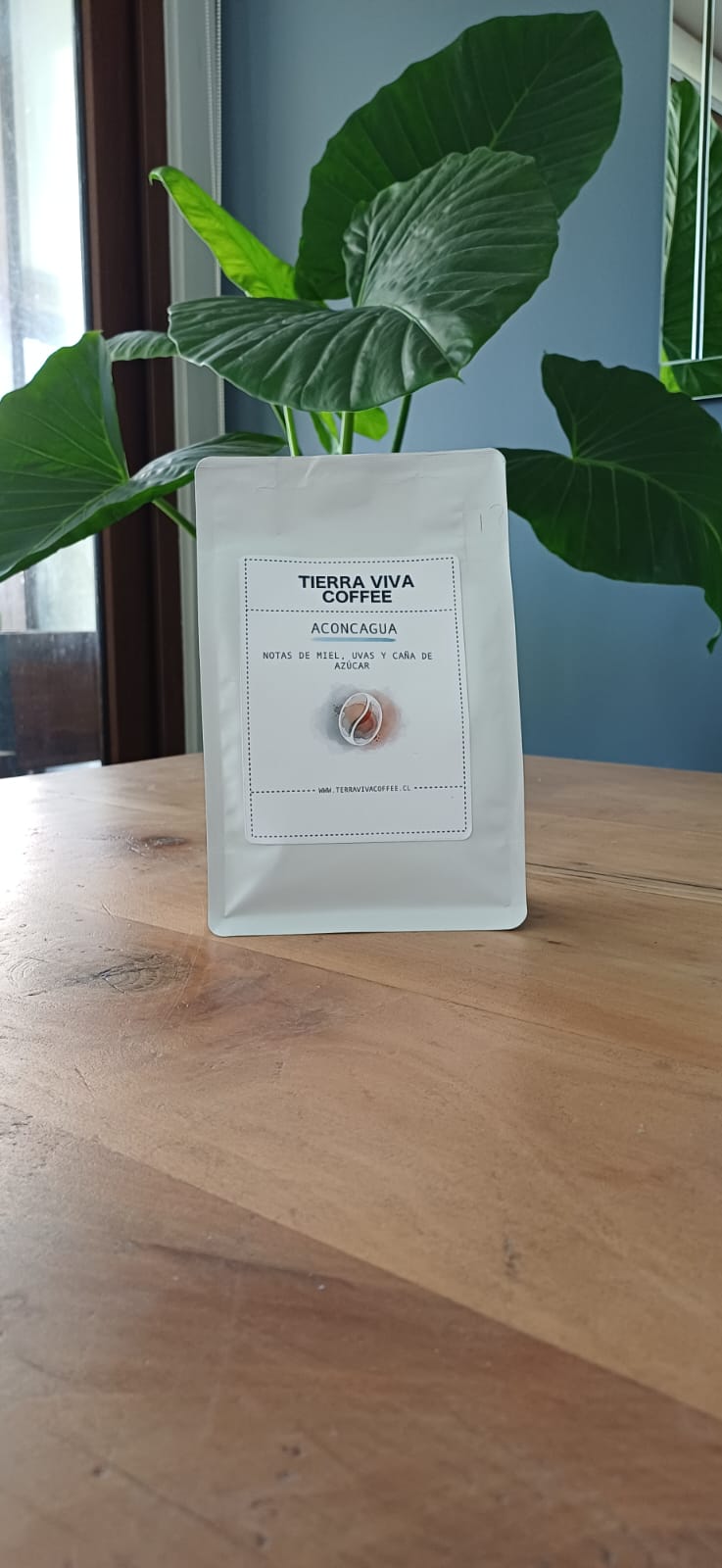 Café Aconcagua