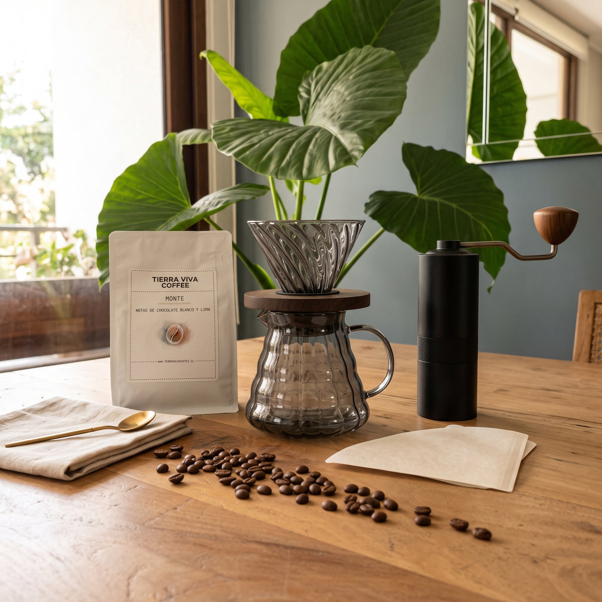 Kit Barista en Casa